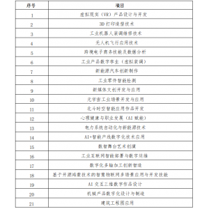 2025一带一路暨金砖国家技能发